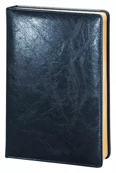 Ежедневник недатированный синий, тв пер А5, 160л, Challenge I504d/blue