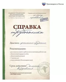 Ежедневник "Справка трудоголика", А5, 80 листов