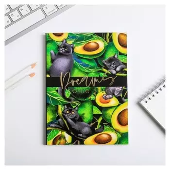 Ежедневник в тонкой обложке с тиснением Dreams come true avocado, А5, 80 листов