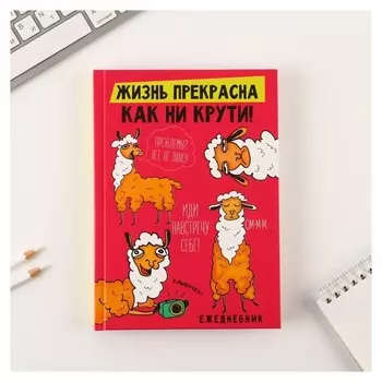 Ежедневник «Жизнь прекрасна, как ни крути!», А5, 160 листов