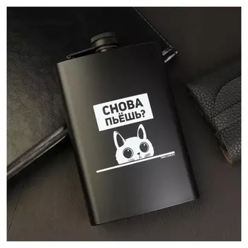 Фляжка "Снова пьешь?", 270 мл