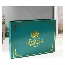 Фотоальбом 25 листов (Уголки+кольца) "Семейный фотоархив" 27х19 см