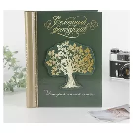 Фотоальбом на 10 м.л с декор.обложкой «Семейный фотоархив», 19х25