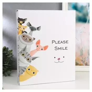 Фотоальбом на 400 фото 10х15 см "Котики-шпионы" в коробке 35,2х28,7х5,5 см