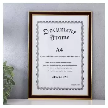 Фоторамка пластик формат А4 "Шоколад с золотой двойной рамкой" 32,2х23,5 см