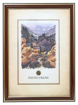 Фоторамка пластиковая 30х40, красное дерево, 60073