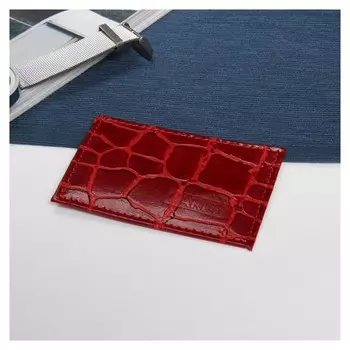 Футляр для карточки, цвет красный