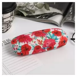 Футляр для очков Dream