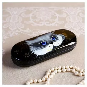 Футляр для очков, отдел на клапане, цвет чёрный