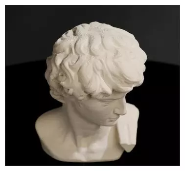 Гипсовая фигура "Голова давида" 8 х 12,5, белая
