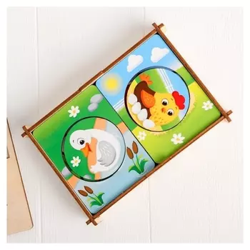 Головоломка Досочки Сегена Кто где живёт