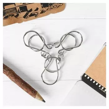 Головоломка Раздели на части №12