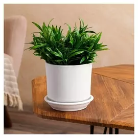 Горшок для цветов "Мальва", крошка белая, 1.2 л