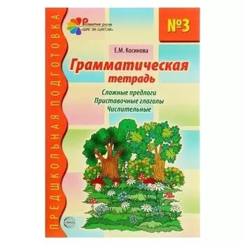 Грамматическая тетрадь № 2. Местоимения, простые предлоги, существительные во множественном числе