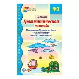 Грамматическая тетрадь № 2. Местоимения, простые предлоги, существительные во множественном числе. Соответствует ФГОС ДО