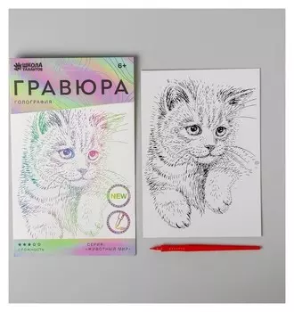 Гравюра «Пушистый котенок» A5, с металлическим голографическим эффектом