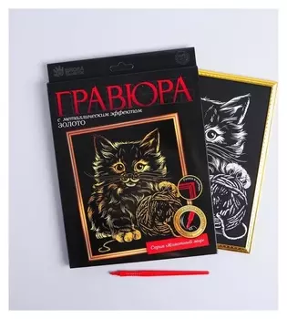 Гравюра в рамке «Котёнок с клубком»