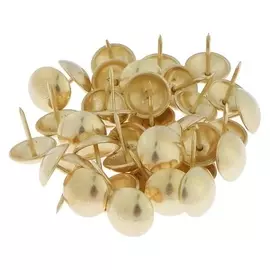 Гвозди декоративные, 19х22 мм, цвет золото, в упаковке 200 шт.