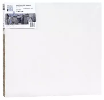 Холст на подрамнике туюкан 50х60 лен т0003970