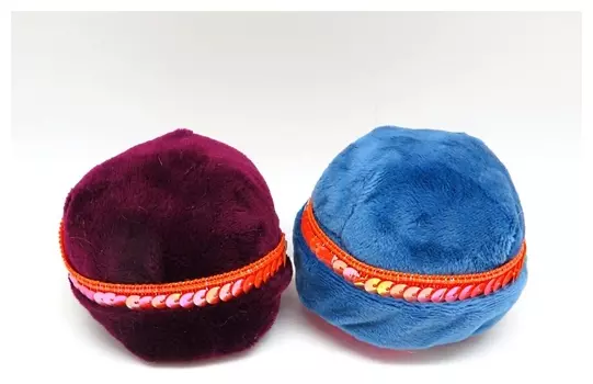 Игольница средняя