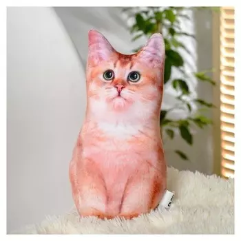 Игрушка антистресс Рыжий кот