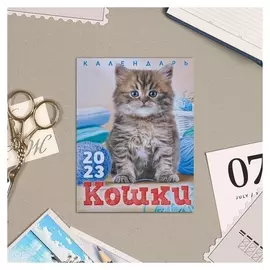Календарь на магните "Кошки" 2023 год