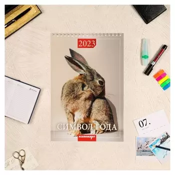 Календарь на пружине без ригеля "Символ года. Вид 3" 2023 год, 17 х 25 см