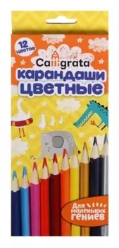 Карандаши 12 цветов