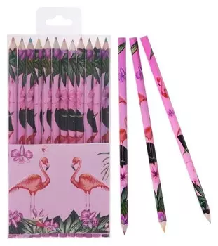 Карандаши 12 цветов "Фламинго"