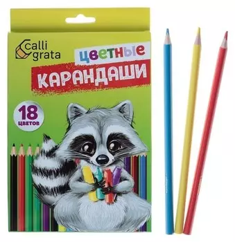 Карандаши Calligrata, 18 цветов
