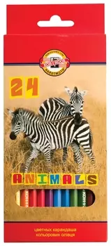 Карандаши цветные 24 цвета Animals