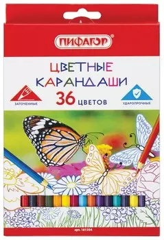 Карандаши цветные 36 цветов "Бабочки"