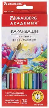 Карандаши цветные акварельные Brauberg "Академия", 12 цветов, шестигранные, высокое качество, 181398