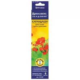 Карандаши цветные Brauberg "Цветы", набор 6 цветов, трехгранные, лакированное дерево, 181287