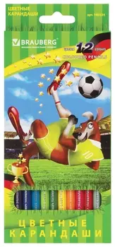 Карандаши цветные Brauberg "Football Match", 12 цветов, заточенные, картонная упаковка, 180534