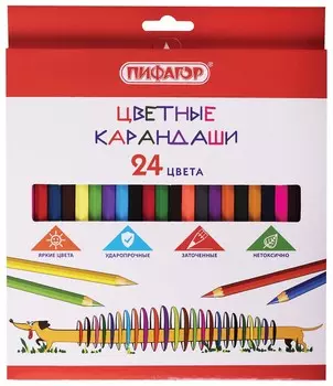 Карандаши цветные пифагор "Веселая такса", 24 цвета, классические, заточенные, 181808