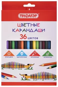 Карандаши цветные пифагор "Веселая такса", 36 цветов, классические, заточенные, 181809