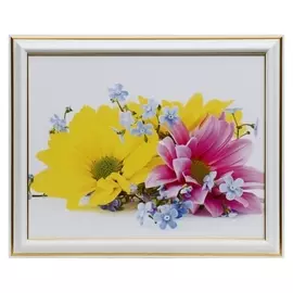 Картина 20х25 (22х27) см