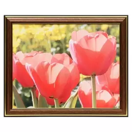 Картина 20х25 (22х27) см