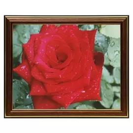 Картина 20х25 (22х27) см