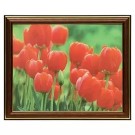 Картина 20х25 (22х27) см