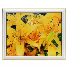 Картина 20х25 (22х27) см