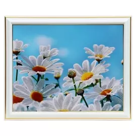 Картина 20х25 (22х27) см