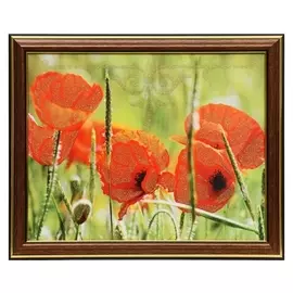 Картина 20х25 (22х27) см