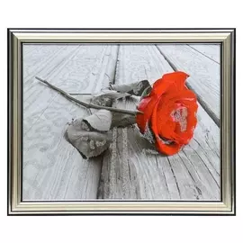 Картина 20х25 (22х27) см