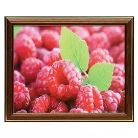 Картина 20х25 (23х28) см