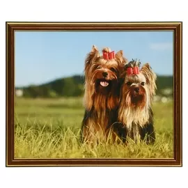 Картина 35х28 (38х31) см