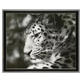 Картина 35х28 (38х31) см