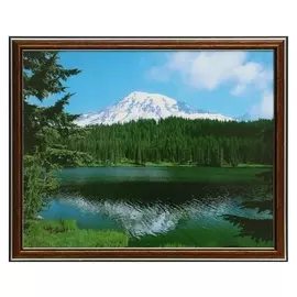 Картина 35х28 (38х31) см