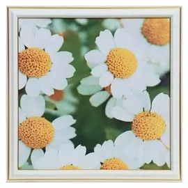 Картина "Белые цветы" 25х25(28х28) см